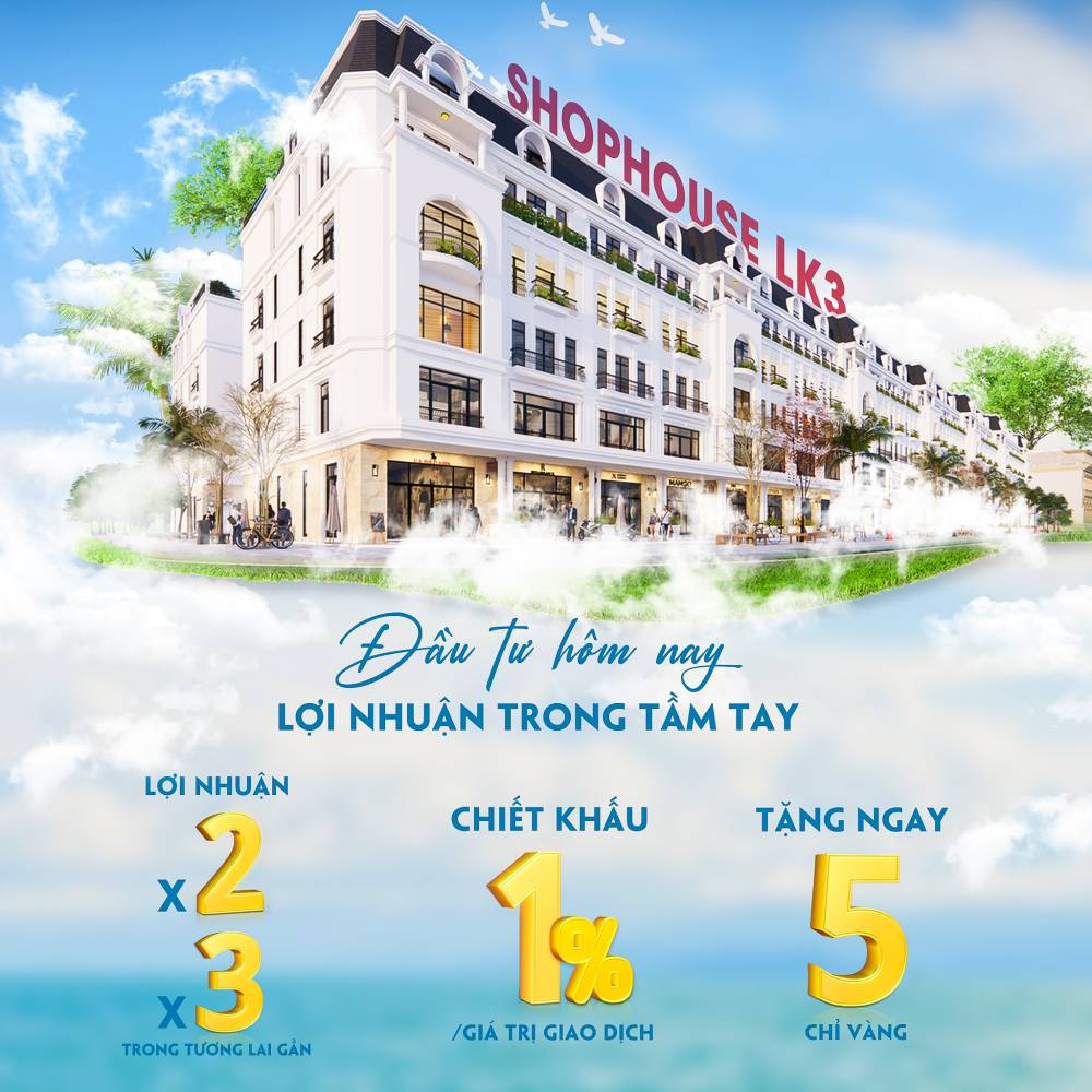 Read more about the article Lợi nhuận đầu tư Shophouse LK3 Từ Sơn Garden City